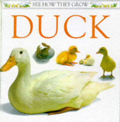 Book cover for See How They Grow:  Duck