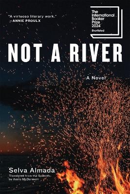 Book cover for Not a River