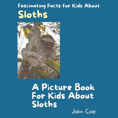 Book cover for A Picture Book for Kids About Sloths