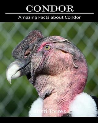 Book cover for Amazing Facts about Condor