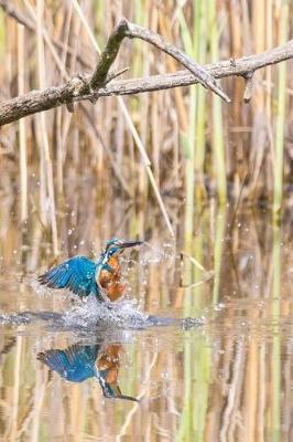 Book cover for Kingfisher Notebook