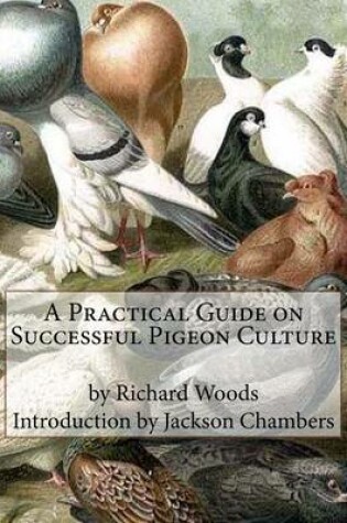 Cover of A Practical Guide on Successful Pigeon Culture