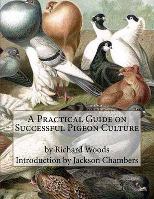 Book cover for A Practical Guide on Successful Pigeon Culture