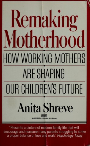 Book cover for Remaking Motherhood