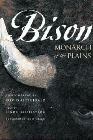 Cover of Bison