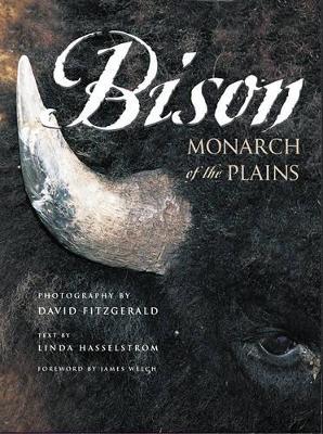 Book cover for Bison