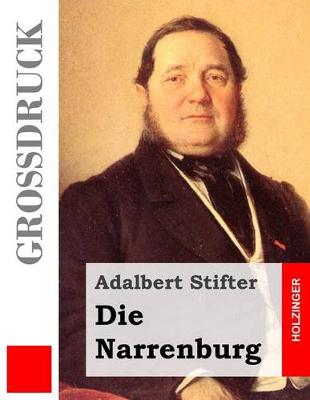 Book cover for Die Narrenburg (Grossdruck)