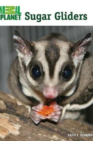 Cover of Sugar Gliders