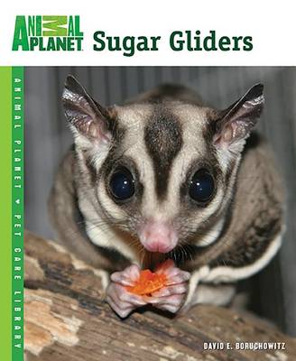 Cover of Sugar Gliders