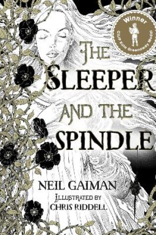 Cover of The Sleeper and the Spindle