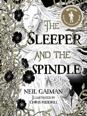 Book cover for The Sleeper and the Spindle