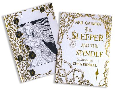 Book cover for The Sleeper and the Spindle