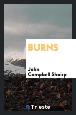 Book cover for Burns