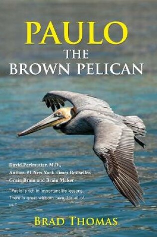 Cover of Paulo the Brown Pelican