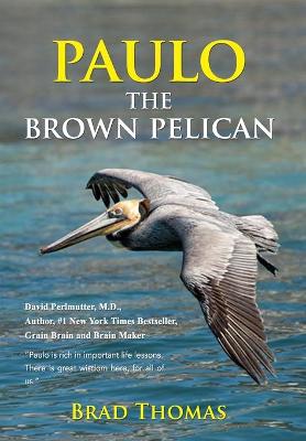 Book cover for Paulo the Brown Pelican