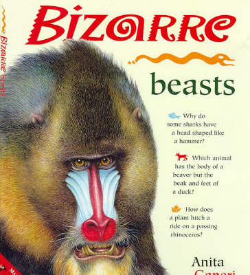 Book cover for Bizarre Beasts