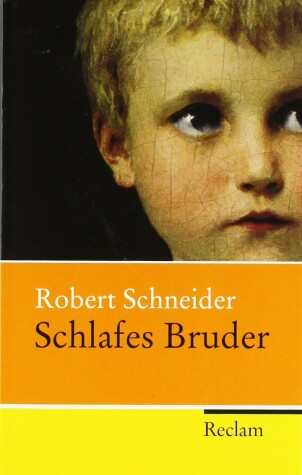 Book cover for Schlafes Bruder