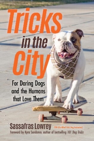 Cover of Tricks in the City