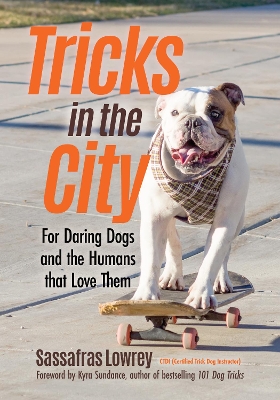 Book cover for Tricks in the City
