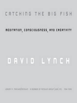 Book cover for Catching the Big Fish (PB Reprint)