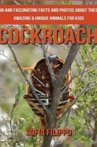 Cover of Cockroach