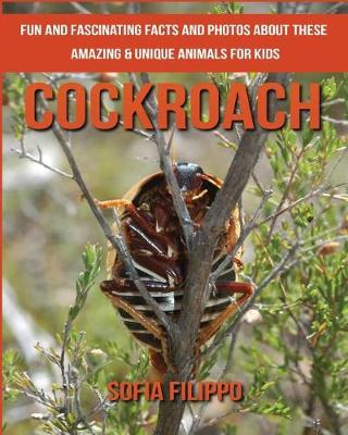 Book cover for Cockroach