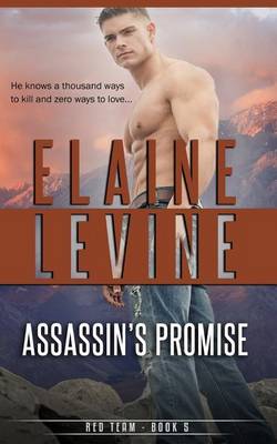 Book cover for Assassin's Promise