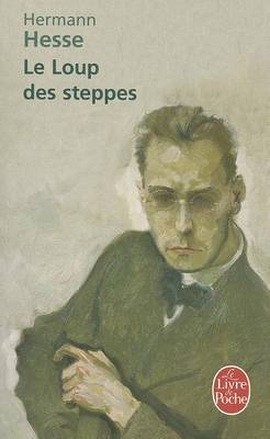 Book cover for Le Loup DES Steppes