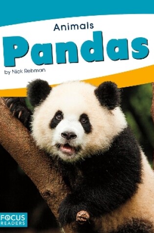 Cover of Animals: Pandas