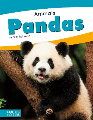 Book cover for Animals: Pandas