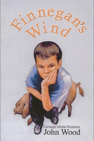 Cover of Finnegan's Wind