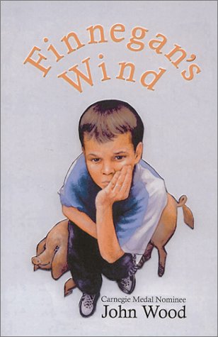 Book cover for Finnegan's Wind