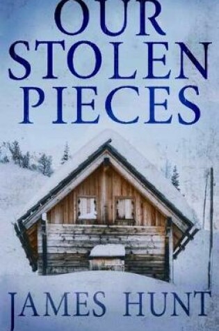 Cover of Our Stolen Pieces