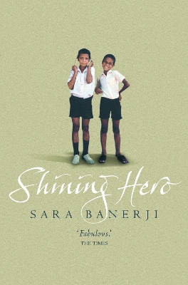 Book cover for Shining Hero