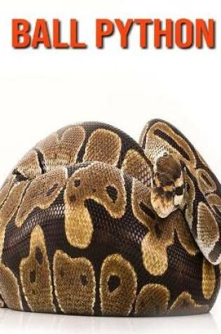 Cover of Ball Python