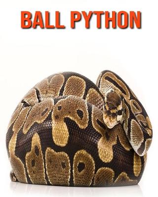 Book cover for Ball Python