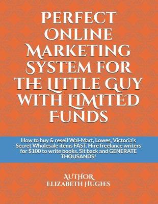 Book cover for Perfect Online Marketing System for the Little Guy with LIMITED Funds