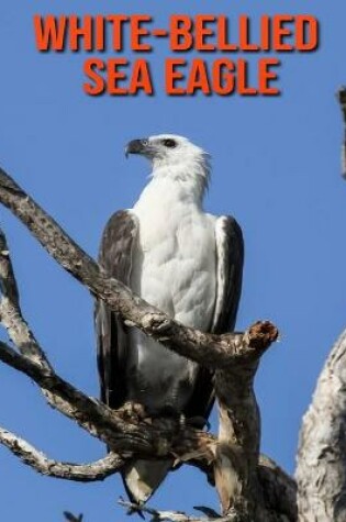 Cover of White-Bellied Sea Eagle