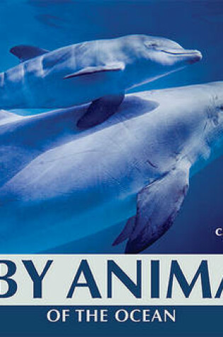 Cover of Baby Animals of the Ocean