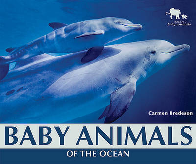 Cover of Baby Animals of the Ocean