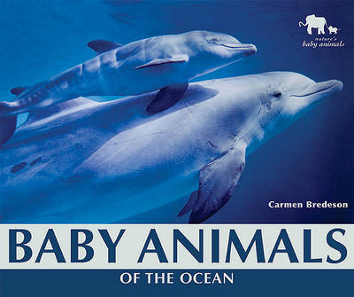 Book cover for Baby Animals of the Ocean