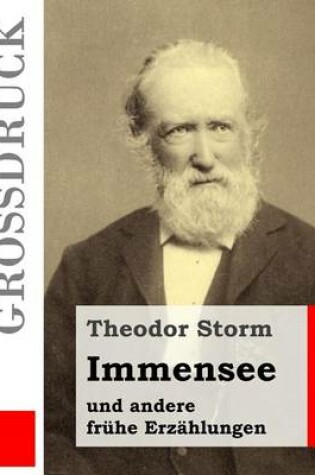 Cover of Immensee (Grossdruck)