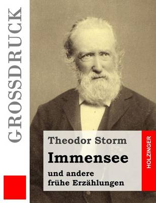 Book cover for Immensee (Grossdruck)