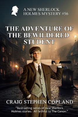 Book cover for The Adventure of the Bewildered Student