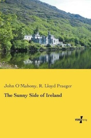 Cover of The Sunny Side of Ireland