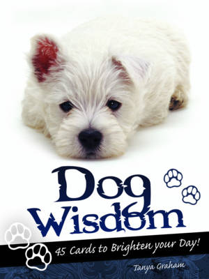 Book cover for Dog Wisdom Cards