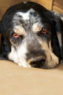 Book cover for The Bluetick Coonhound Dog Journal