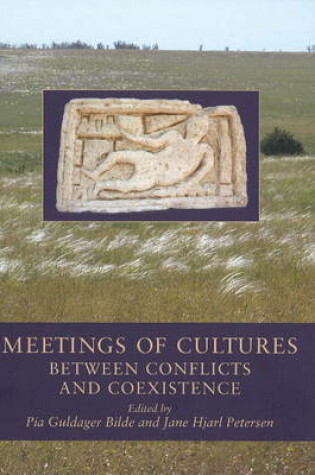 Cover of Meetings of Cultures