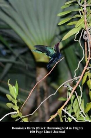 Cover of Dominica Birds (Black Hummingbird in Flight) 100 Page Lined Journal