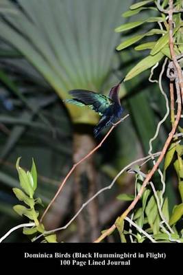 Book cover for Dominica Birds (Black Hummingbird in Flight) 100 Page Lined Journal